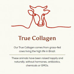 Ancient Brave Grass fed true collagen 200 g