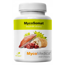 MycoSomat 90 kapslí
