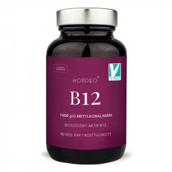 Vitamin B12 1000 µg 90 kapslí