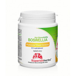 Superionherbs Boswellia Phytosome® – boswellin s vysokou vstřebatelností 90 kapslí