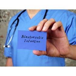 Blastocystis