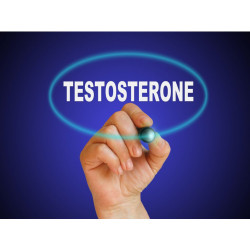 Biovis Testy hormonálního profilu mužů