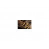 Housenice čínská - cordyceps sinensis 120 kapslí