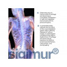 Garmonia Sigumir lingual® peptidový komplex , doplněk stravy 10ml