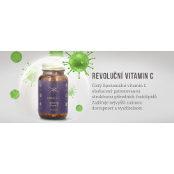 Naturlabs Liposomální vitamín C 500 120 kapslí