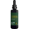 Global Healing Organic Elderberry & Echinacea 59,2ml